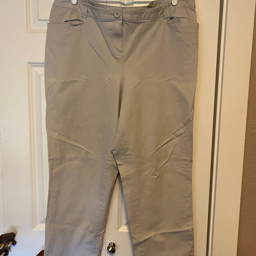 Lane Bryant Ankle Pants
